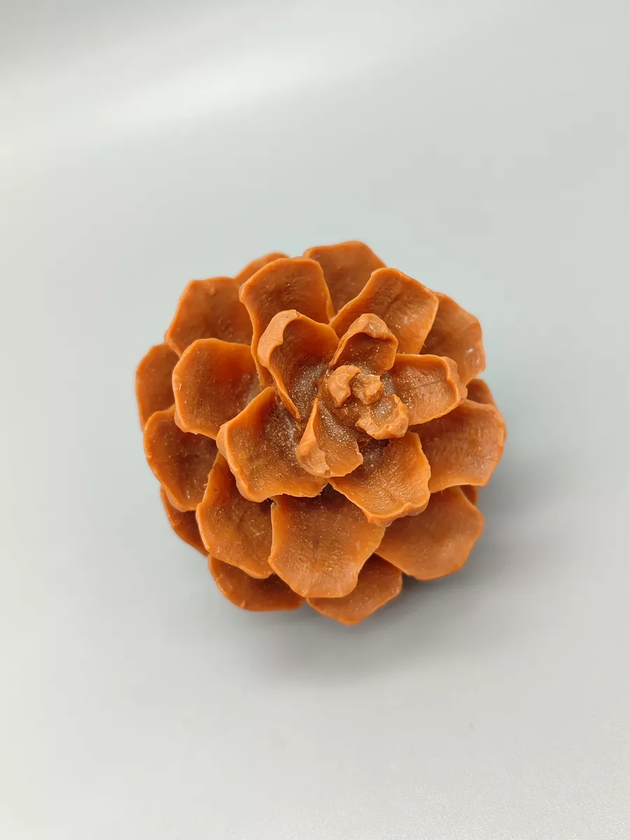 Силиконовая форма Шишка сосновая средняя