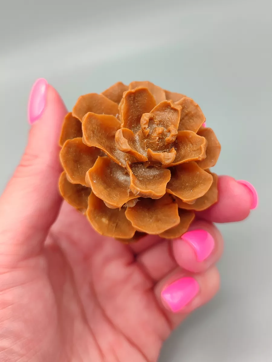 Силиконовая форма Шишка сосновая средняя