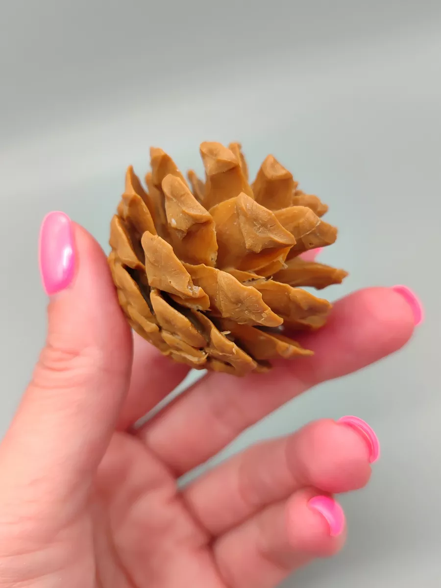 Силиконовая форма Шишка сосновая средняя