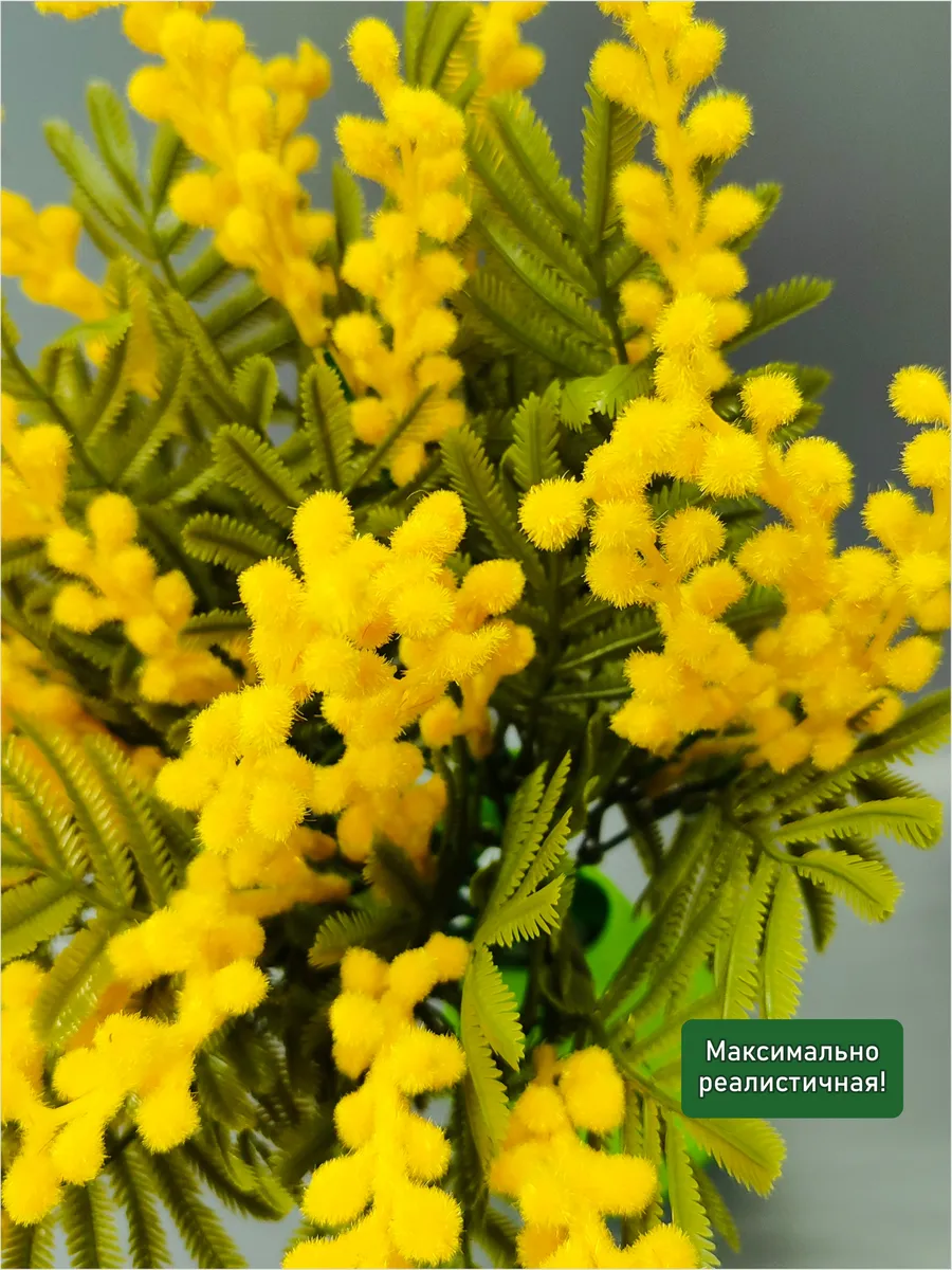Искусственная зелень Мимоза