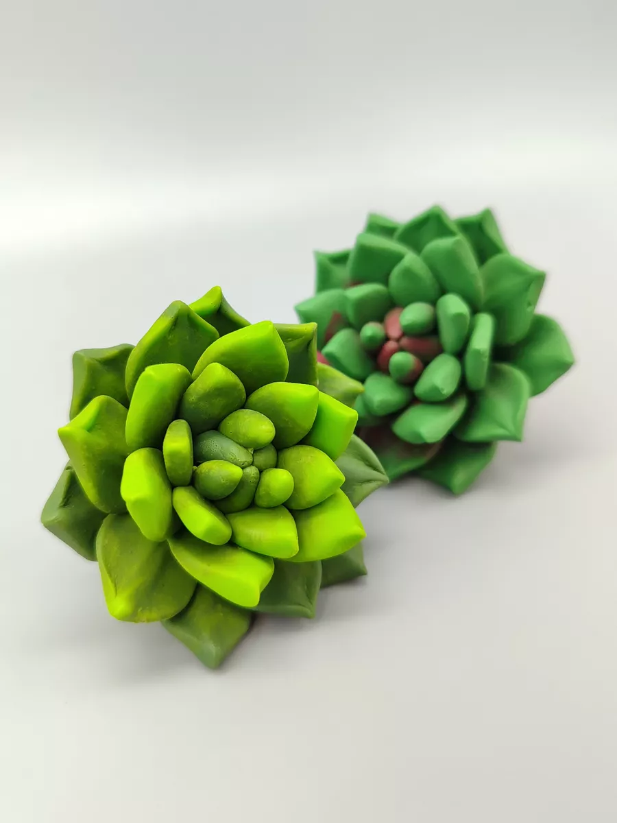 Силиконовая форма Суккулент Вася