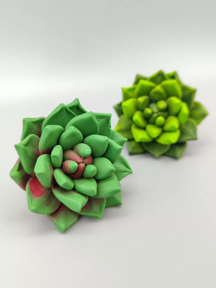 Силиконовая форма Суккулент Вася