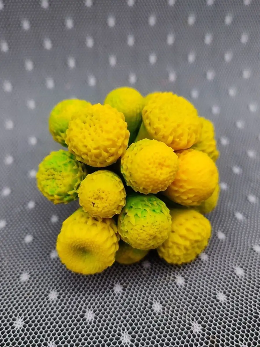 Силиконовая форма Бруния