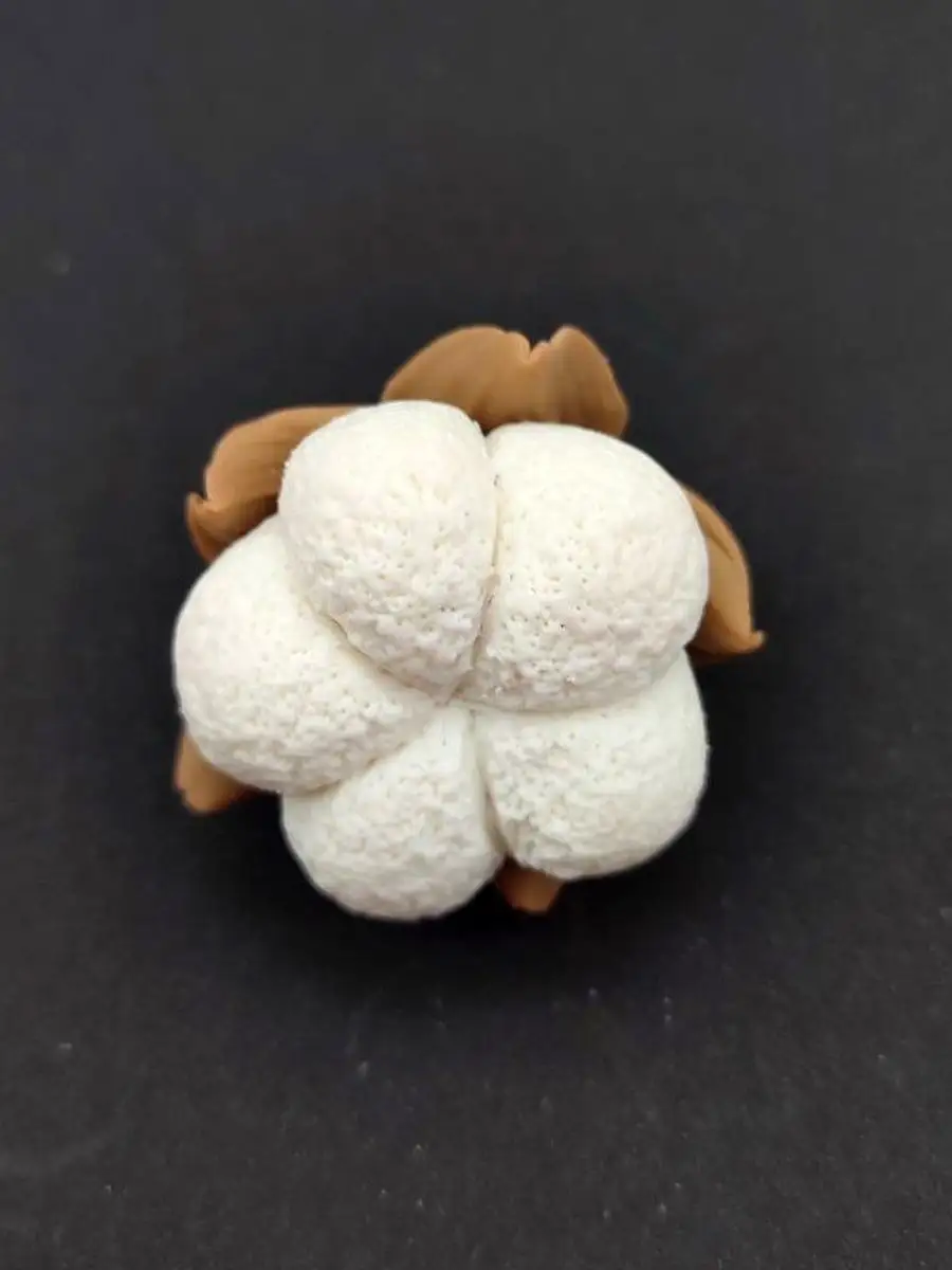 Силиконовая форма Хлопок