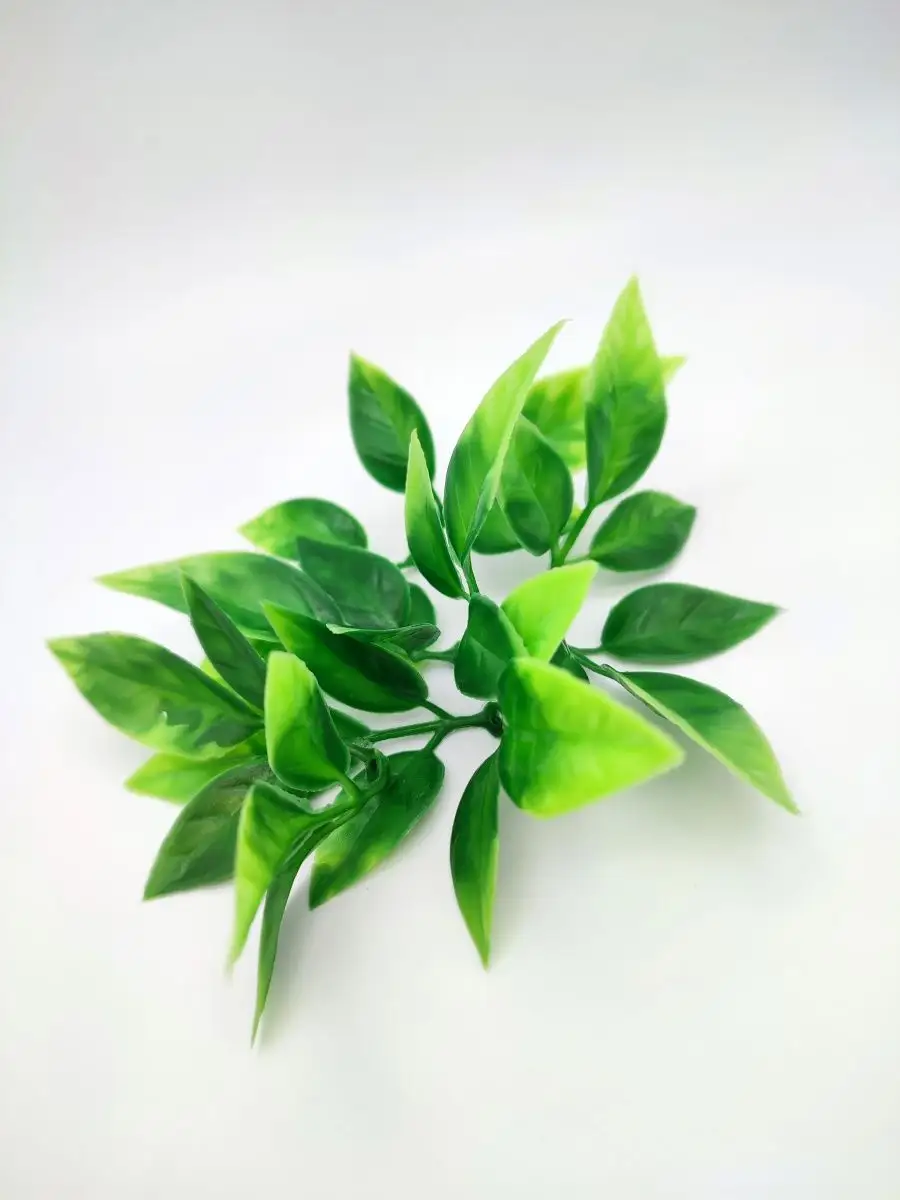 Лист пластиковый универсальный №1