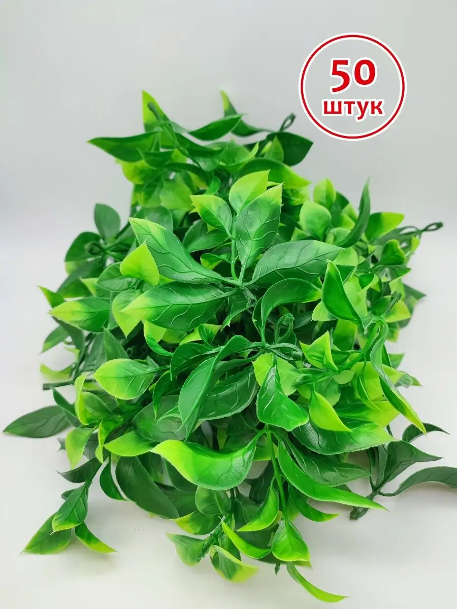 Соцветие листьев