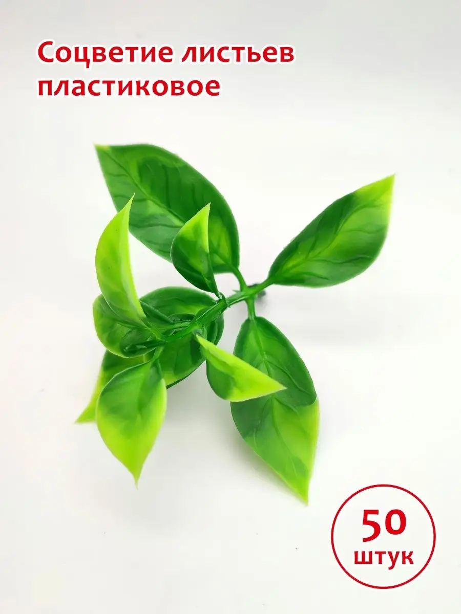 Соцветие листьев