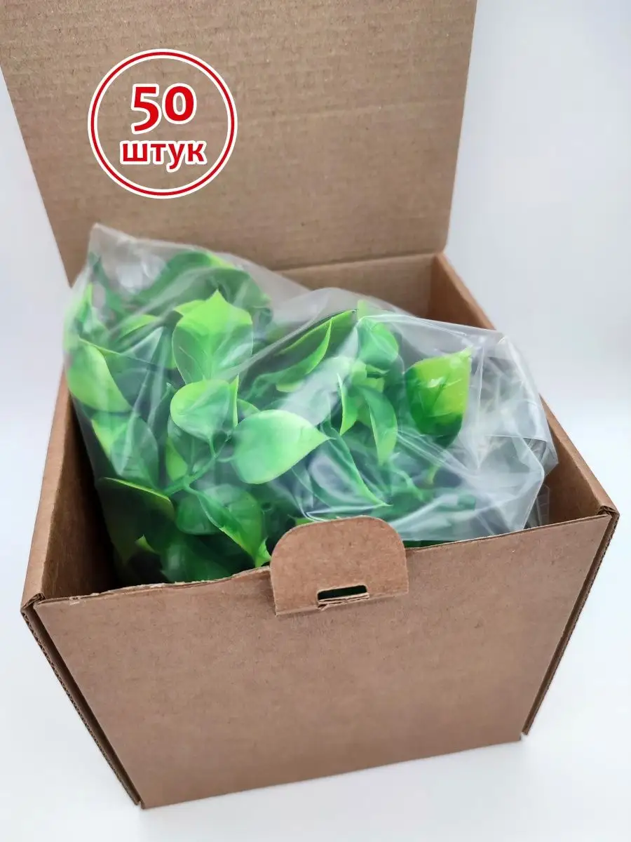 Соцветие листьев